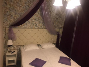 ARK guest house, Odinzowo